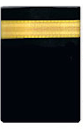 Pilot Uniform Epaulettes (pair, full length, 1 bar, gold)