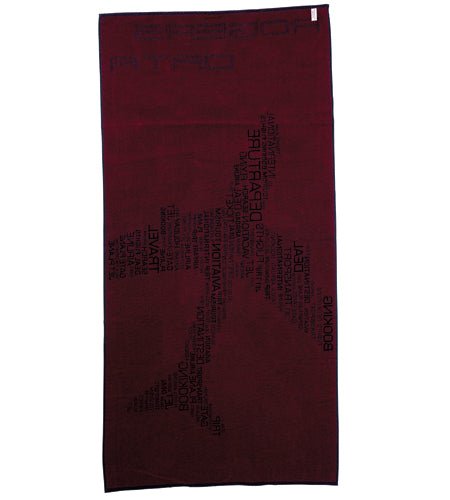 Rogers Data Beach Towel Aeroplane